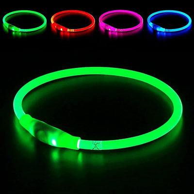 USB Rechargeable, Glowing Pet Dog Collar for Night Safety