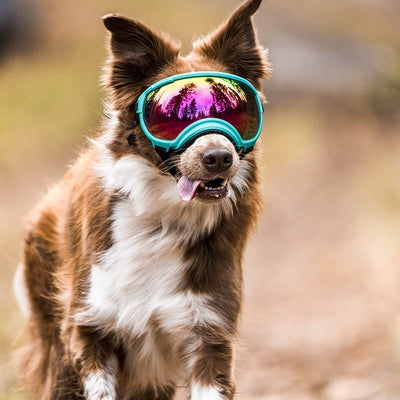 Breathable Dog Goggles